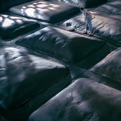 首株以“老窖”命名的新菌株从百年窖泥中分离，“老窖出好酒”多了一项科学依据