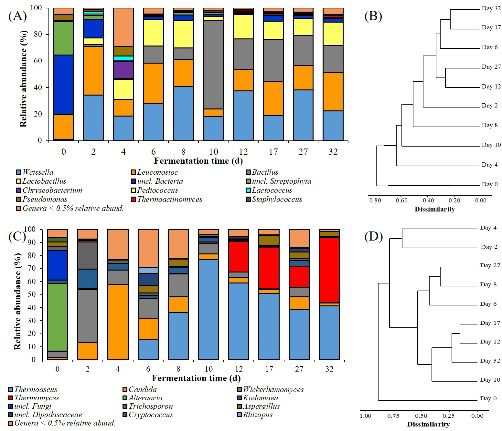 首株以“老窖”命名的新菌株从百年窖泥中分离，“老窖出好酒”多了一项科学依据