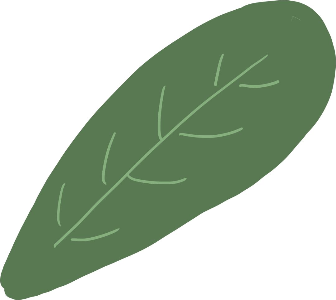 航海彩旗,航海旗子怎么辨认