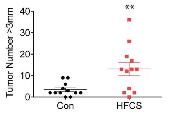 【有益思】不仅是长胖！《科学》：饮料中的糖浆，加速肿瘤生长