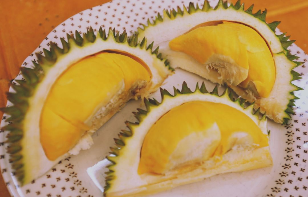 猫闻螺蛳粉后疯狂刨地,螺蛳粉猫闻了为什么埋屎