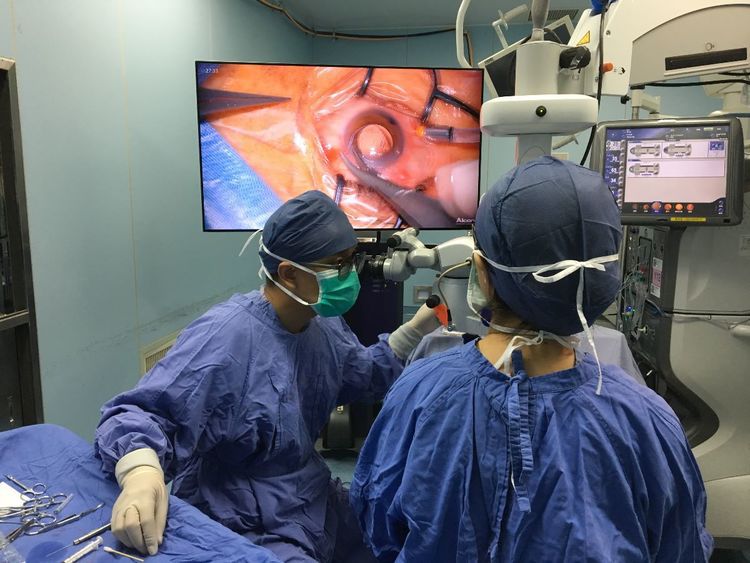 不忘初心不断精进——复旦大学附属眼耳鼻喉科医院进修体会