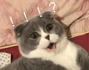 熊猫血患者急需输血,16岁女孩急需“熊猫血”