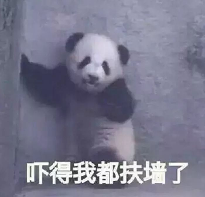 熊猫血患者急需输血,16岁女孩急需“熊猫血”