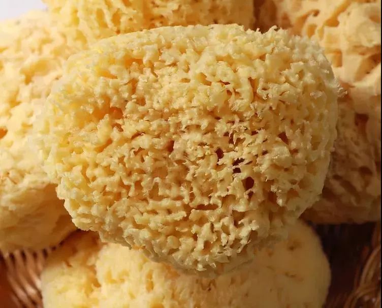 怎样清洗希腊天然海绵,希腊洗澡海绵使用小技巧