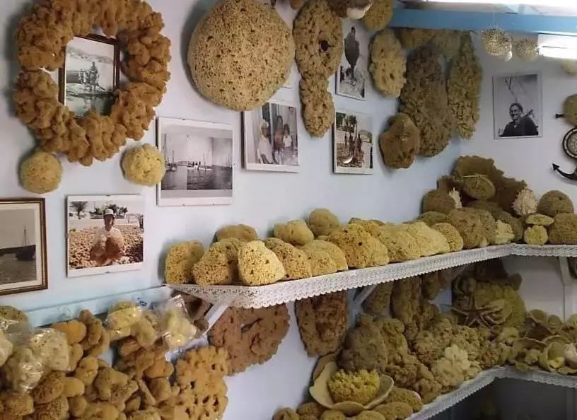 怎样清洗希腊天然海绵,希腊洗澡海绵使用小技巧