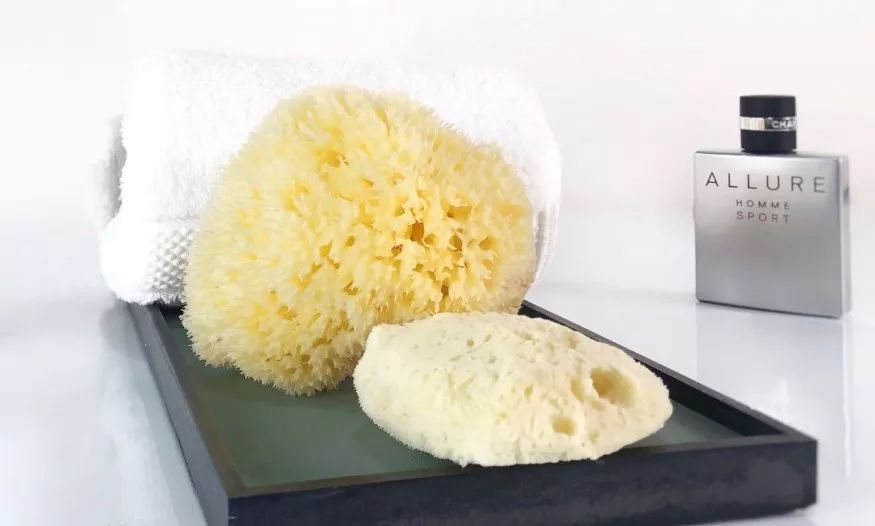 怎样清洗希腊天然海绵,希腊洗澡海绵使用小技巧