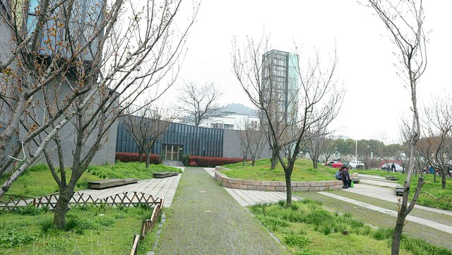 遇见树山——等一场有你的梨花雨