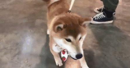 难说再见！地王广场，曾经的“广州潮人主场”如今……