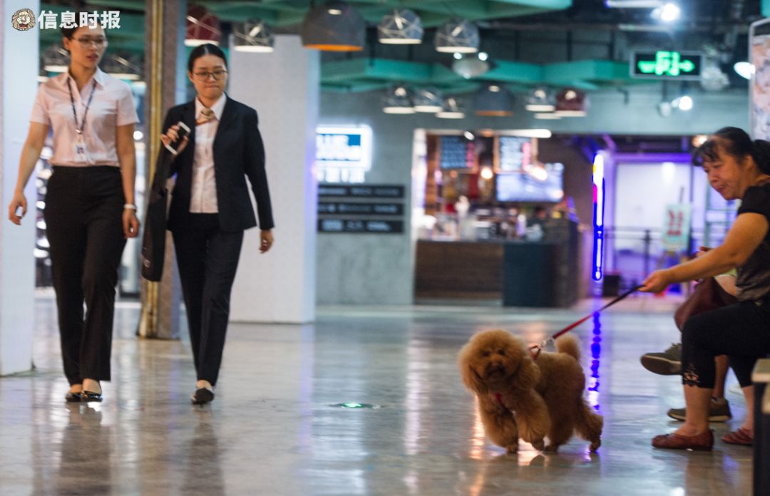 难说再见！地王广场，曾经的“广州潮人主场”如今……