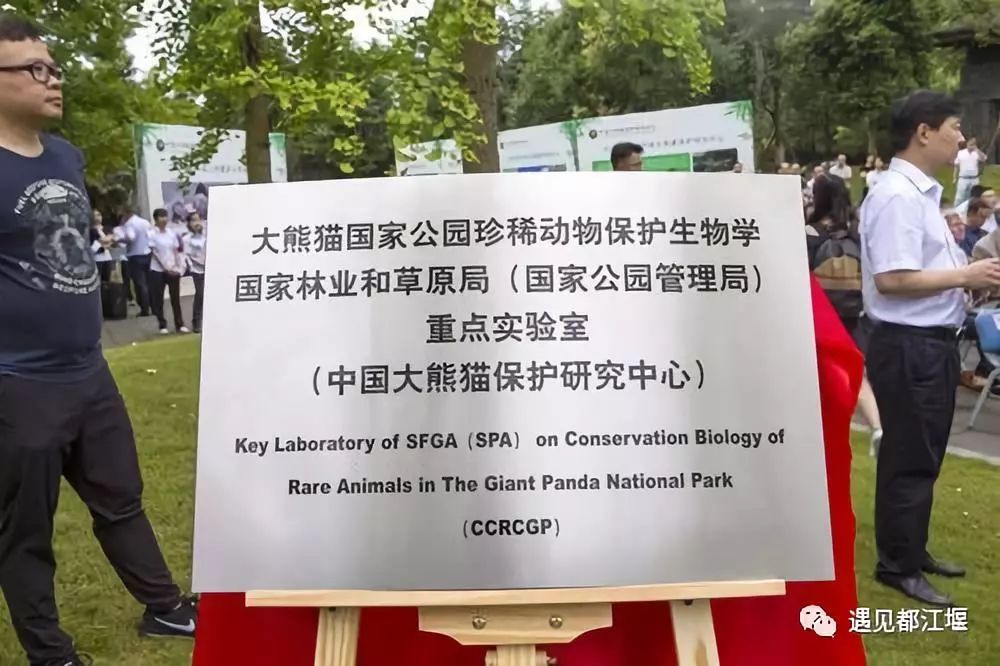 新中国成立70周年|都江堰那些年的那些事儿（2010-2019年）