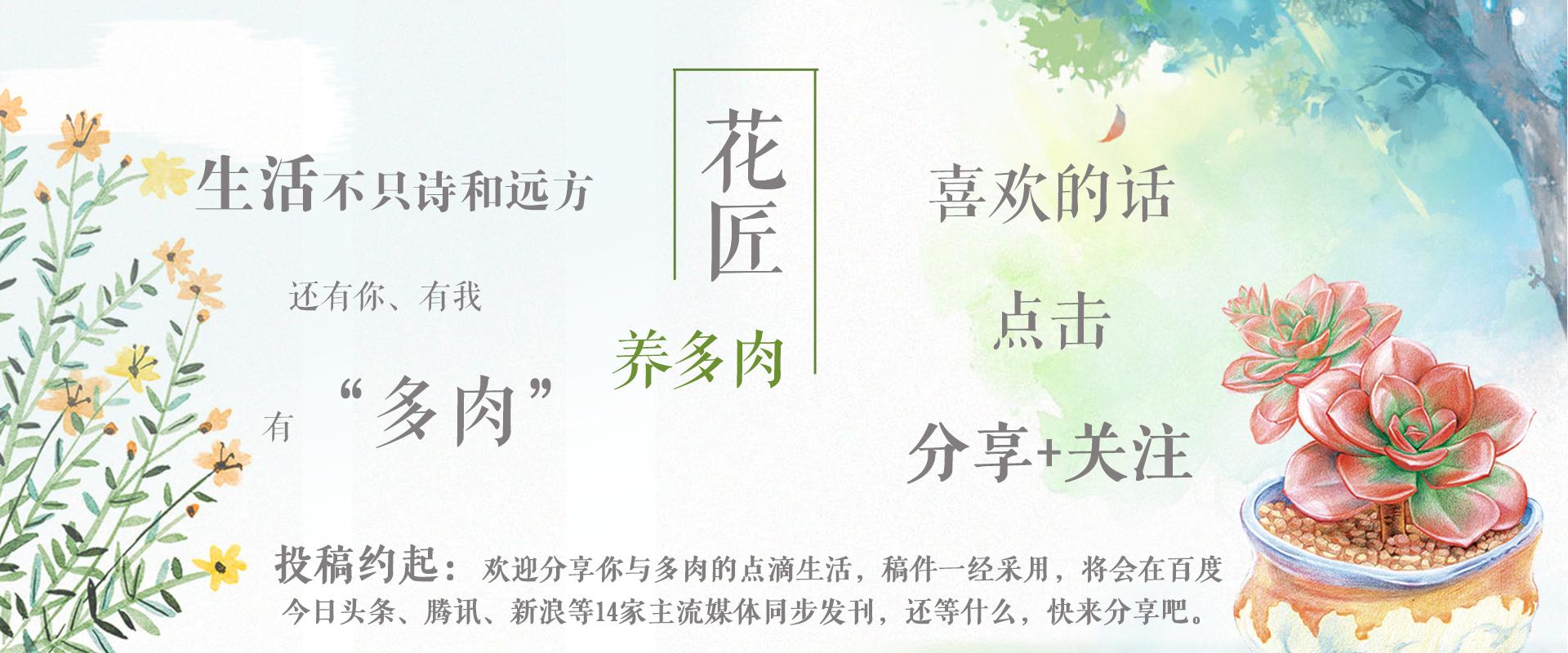 玉蝶怎么养容易爆盆,玉蝶怎么养才爆盆