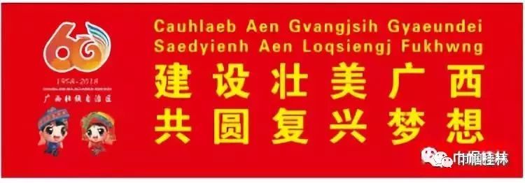 花开漓江丨我的挂职岁月