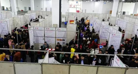 985本科和985博士,本科无缘985熬到博士也没戏