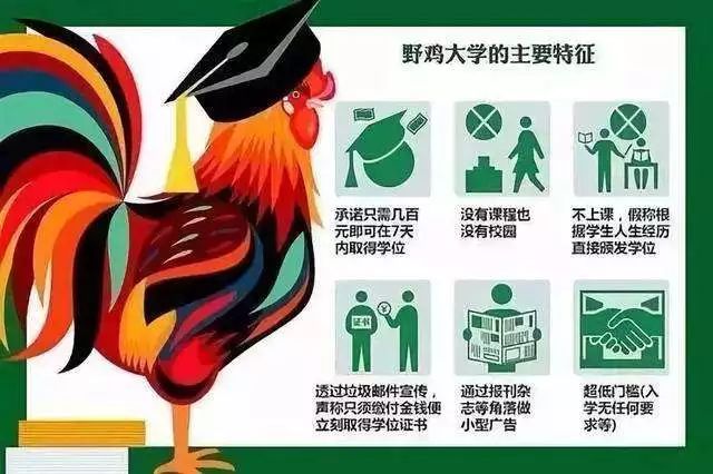 985本科和985博士,本科无缘985熬到博士也没戏