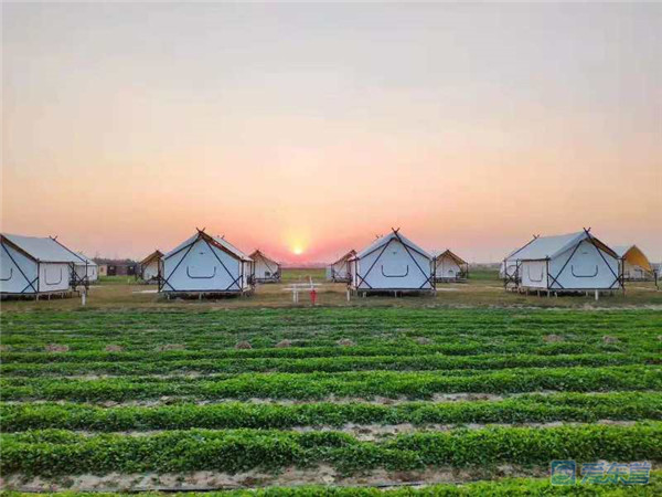 东营上半年经济运行成绩单公布,东营市经济指标完成情况