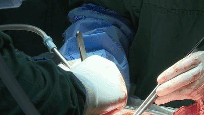 沈阳医大一医院和盛京医院哪个好,沈阳242医院和739医院哪个好