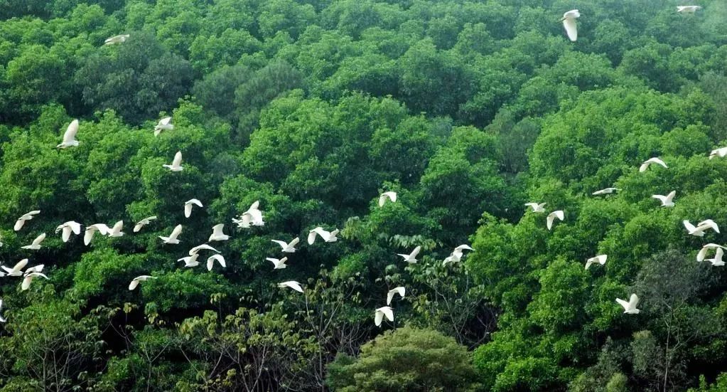 东莞五一旅游攻略推荐,最美人间四月天旅游攻略