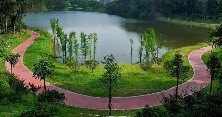 东莞五一旅游攻略推荐,最美人间四月天旅游攻略