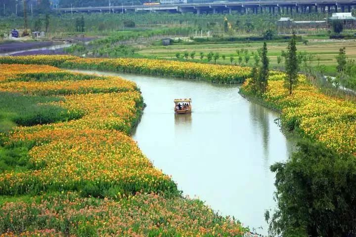 东莞五一旅游攻略推荐,最美人间四月天旅游攻略