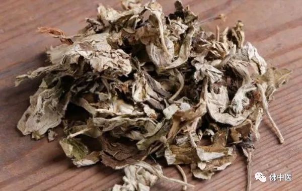 【药师在线】除了做“艾糍”，艾叶的养生价值竟然还有这么多