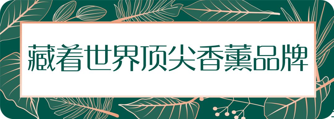 杭州新开一家藏着世界顶尖香薰品牌的集合店!get拿破仑、玛丽皇后同款,美到一秒穿越法国