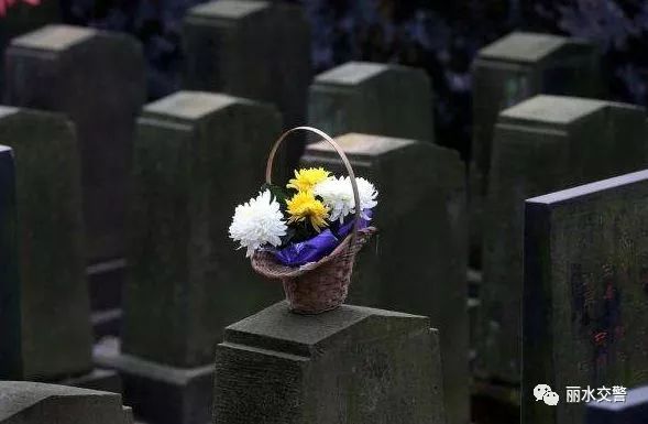 清明小长假在即，丽水出行哪堵？烟花燃放如何规定？速戳这里！