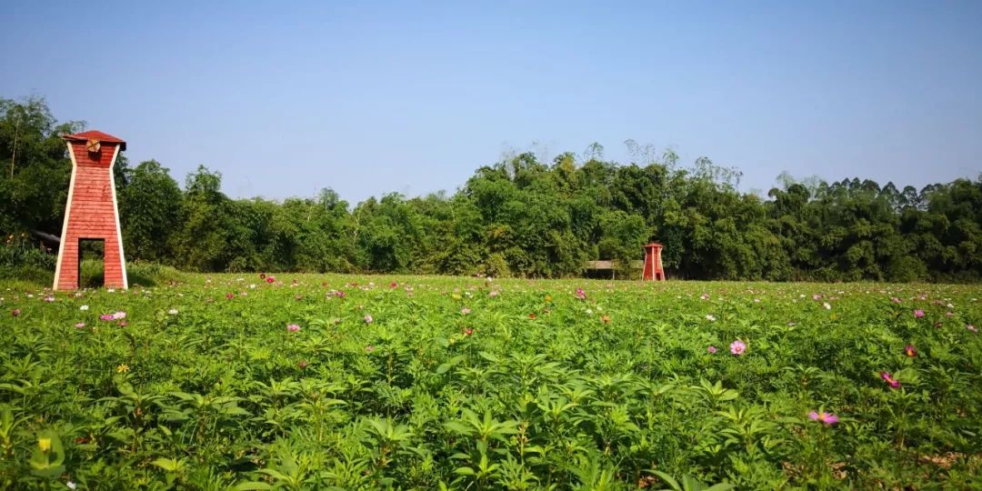 假期游玩美食,江南水乡休闲农庄