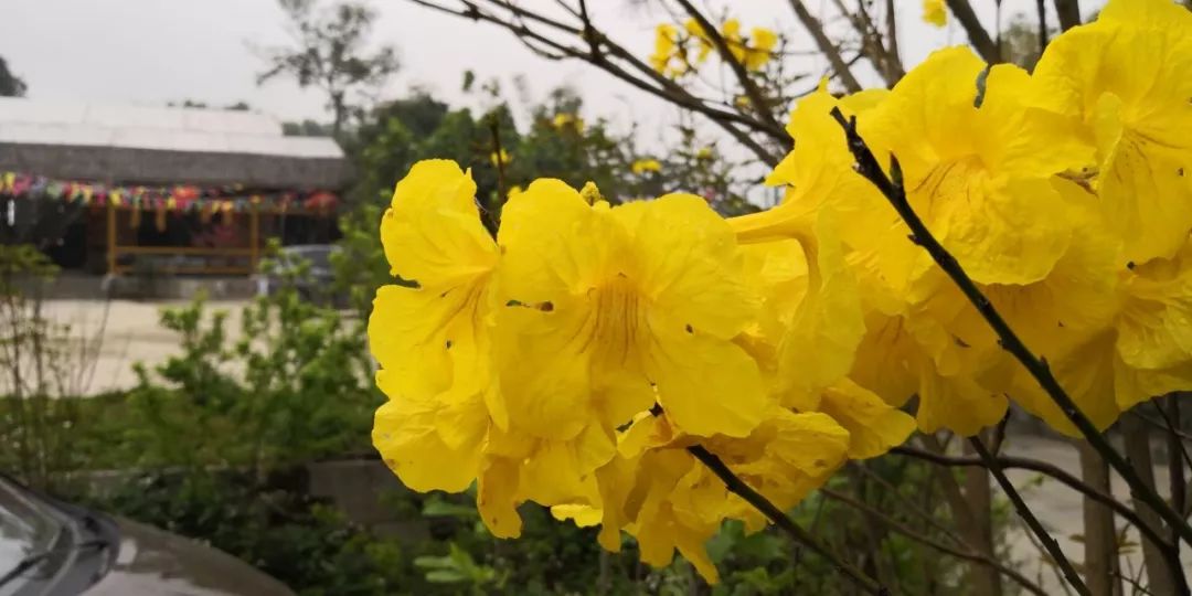 假期游玩美食,江南水乡休闲农庄