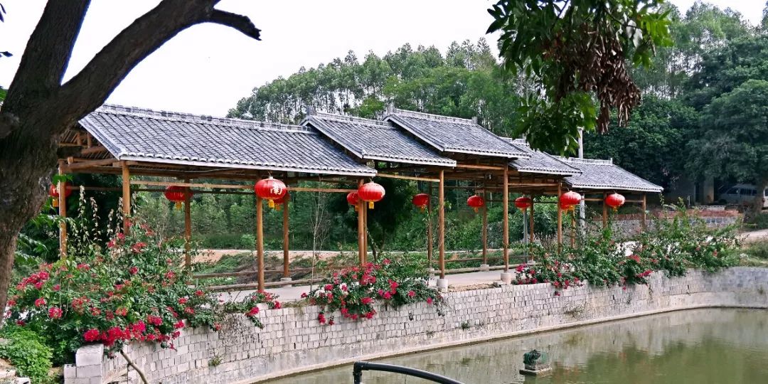 假期游玩美食,江南水乡休闲农庄