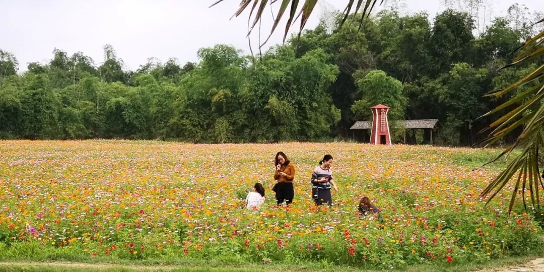假期游玩美食,江南水乡休闲农庄
