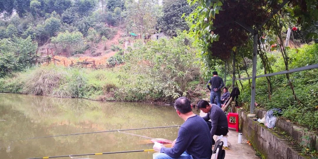 假期游玩美食,江南水乡休闲农庄