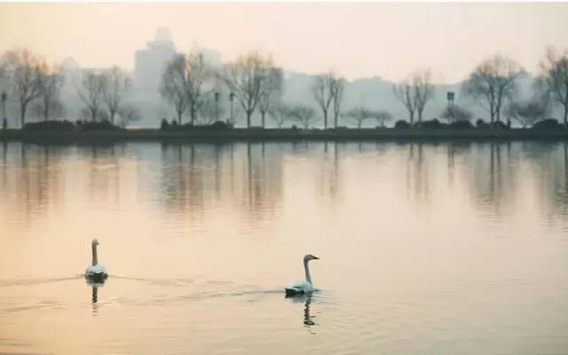 梦不回,梦不回歌词