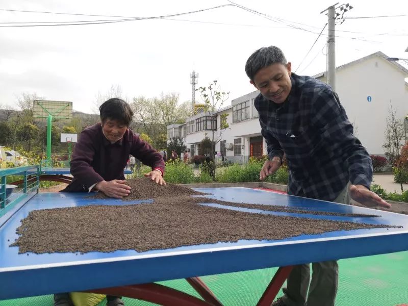 枞阳摄影师,枞阳拍照写真