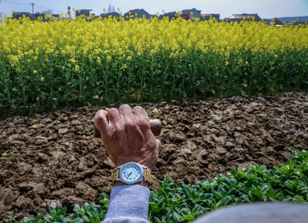枞阳摄影师,枞阳拍照写真