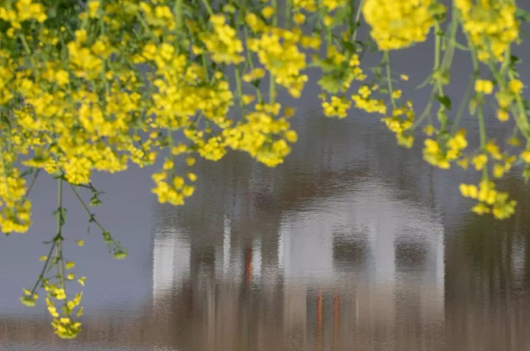枞阳摄影师,枞阳拍照写真