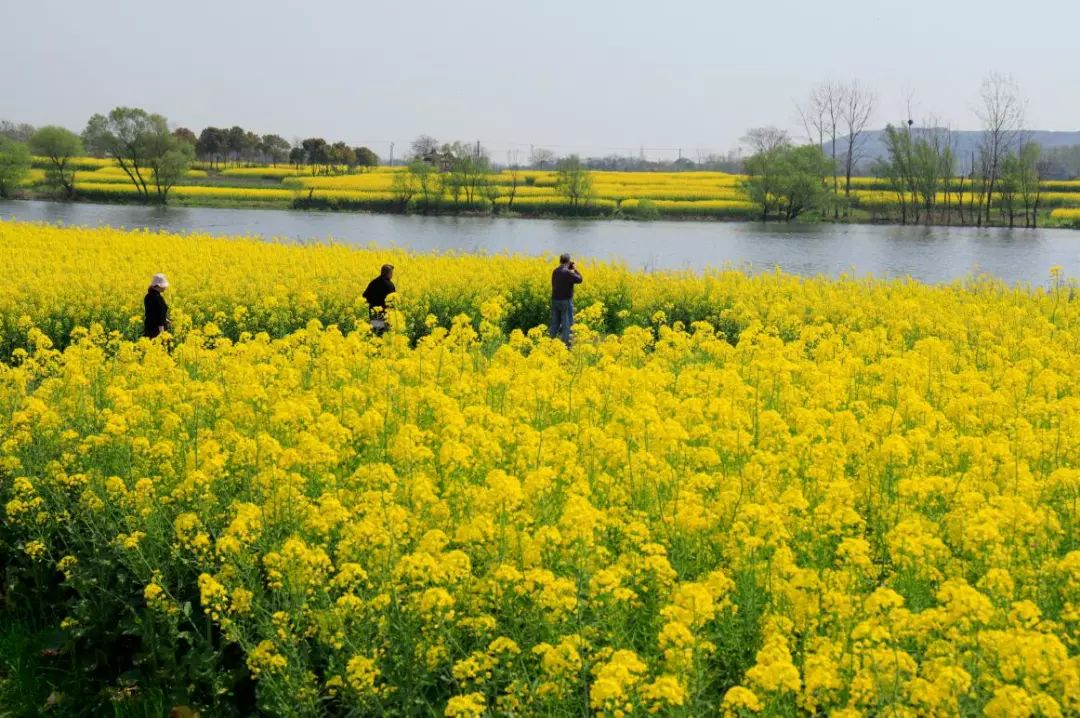 枞阳摄影师,枞阳拍照写真