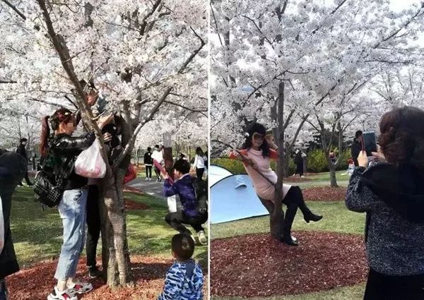 现在福州天气直播,清明福建高速路况实时直播