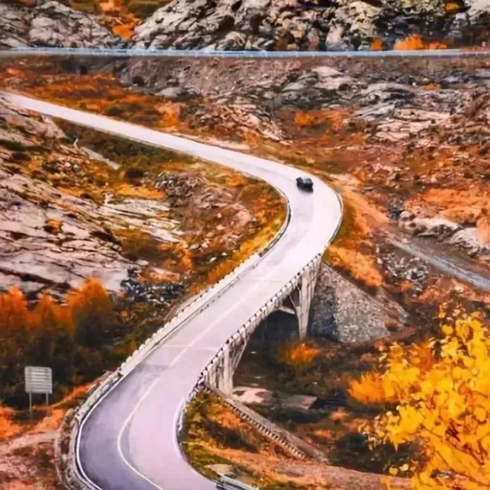 小长假私藏目的地！睡进上海这些小而美的民宿，让大自然对你轻轻说声早安可好？