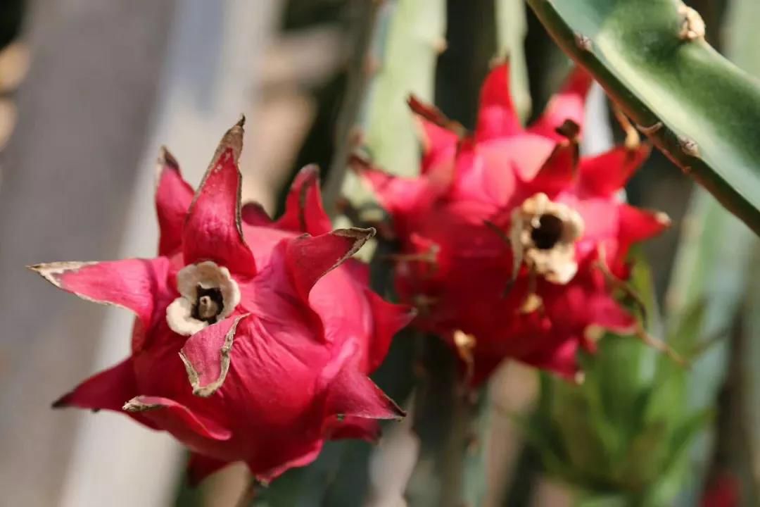 旅游攻略清明小长假,清明小长假你的旅游清单定好了吗