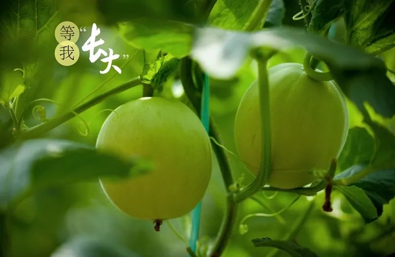 旅游攻略清明小长假,清明小长假你的旅游清单定好了吗