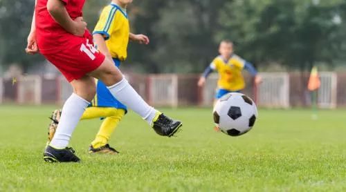 看了小学教育的视频有什么感悟,看了小学学校的发展纪实后的感言