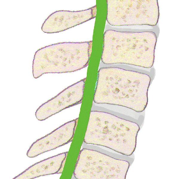 心悸胸闷头晕怎么回事,头晕心悸胸闷气短乏力嗜睡