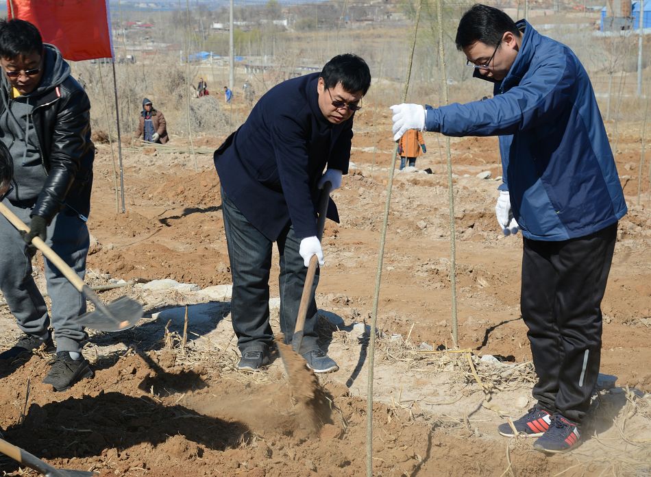 2024唐山一季度项目,唐山2019年新增投资