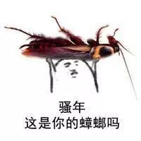 南宁防蚊最简单的方法,浙江驱蚊大战