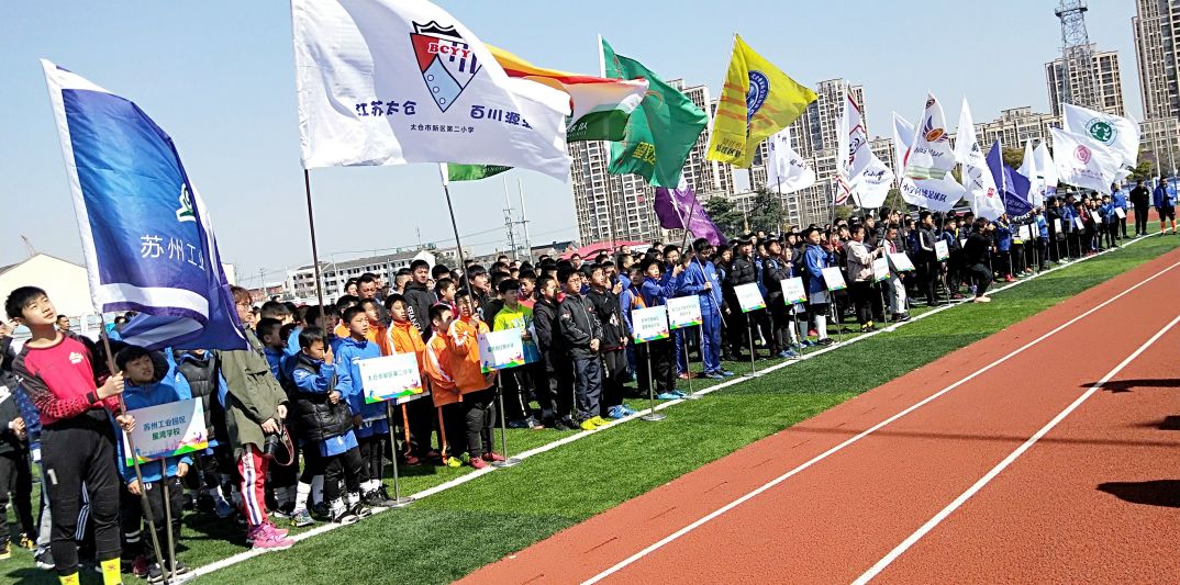 看了小学教育的视频有什么感悟,看了小学学校的发展纪实后的感言