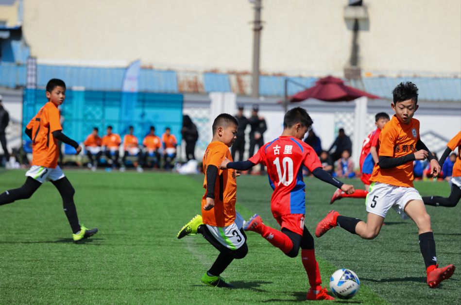 看了小学教育的视频有什么感悟,看了小学学校的发展纪实后的感言