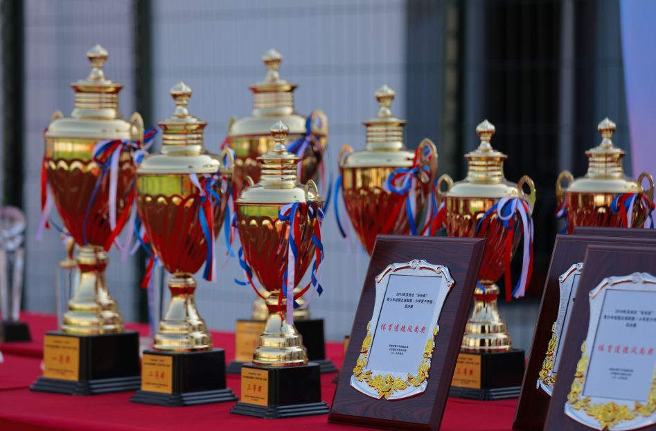 看了小学教育的视频有什么感悟,看了小学学校的发展纪实后的感言