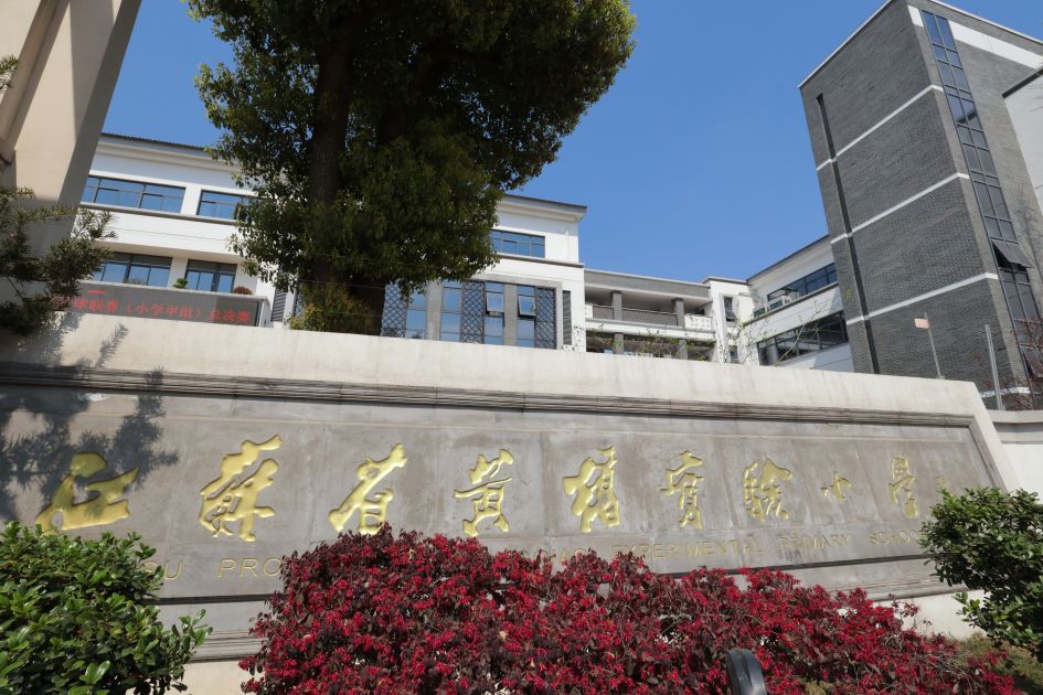 看了小学教育的视频有什么感悟,看了小学学校的发展纪实后的感言