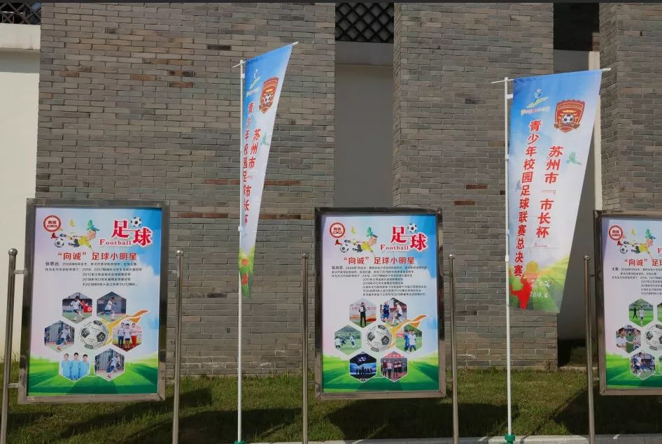 看了小学教育的视频有什么感悟,看了小学学校的发展纪实后的感言